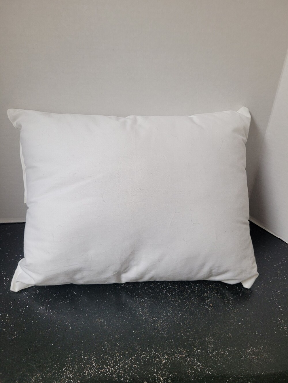 Pottery Barn Kids White Pillow Insert